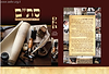 סת"ם - מורה דרך לקניה, שימוש ובדיקת סת"ם