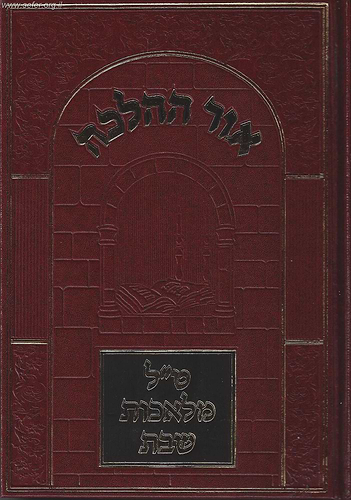 אור ההלכה - ט