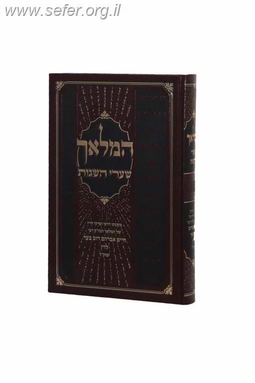המלאך - שערי השגות / רבי חיים אברהם דוב בער לוין
