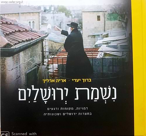 נשמת ירושלים - דמויות, מקומות ורגעים בחצרות ירושלים ושכונותיה / ברוך יערי ואריה ארליך