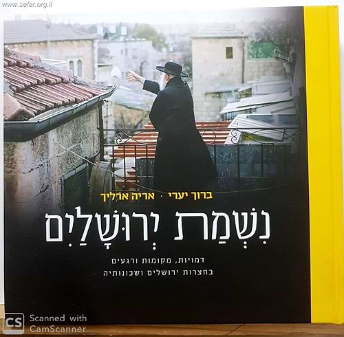נשמת ירושלים - דמויות, מקומות ורגעים בחצרות ירושלים ושכונותיה / ברוך יערי ואריה ארליך