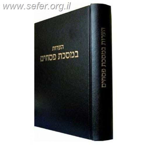 הערות רבינו הגרי"ש אלישיב על הש"ס - סט יד