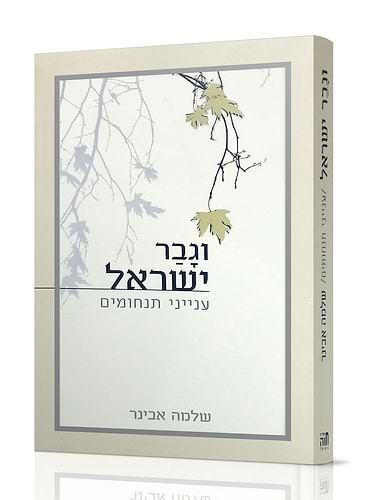 וגבר ישראל / הרב שלמה אבינר