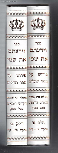 וידעתם את שמי - פירוש קבלי על ספר תהילים ב' כרכים