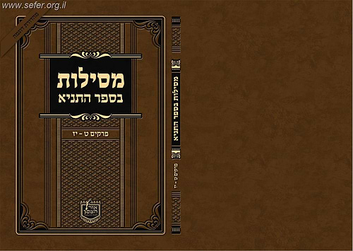 מסילות בספר התניא חלק ב' / הרב פנחס פרידמן