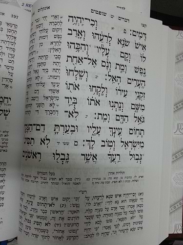 חמישה חומשי תורה אור שרגא ה' כרכים
