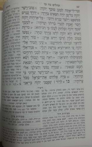 מקראות גדולות תורה בכרך אחד / מיר