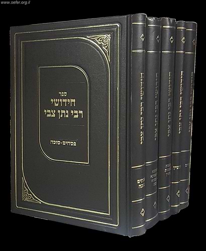 חידושי רבי נתן צבי על הש