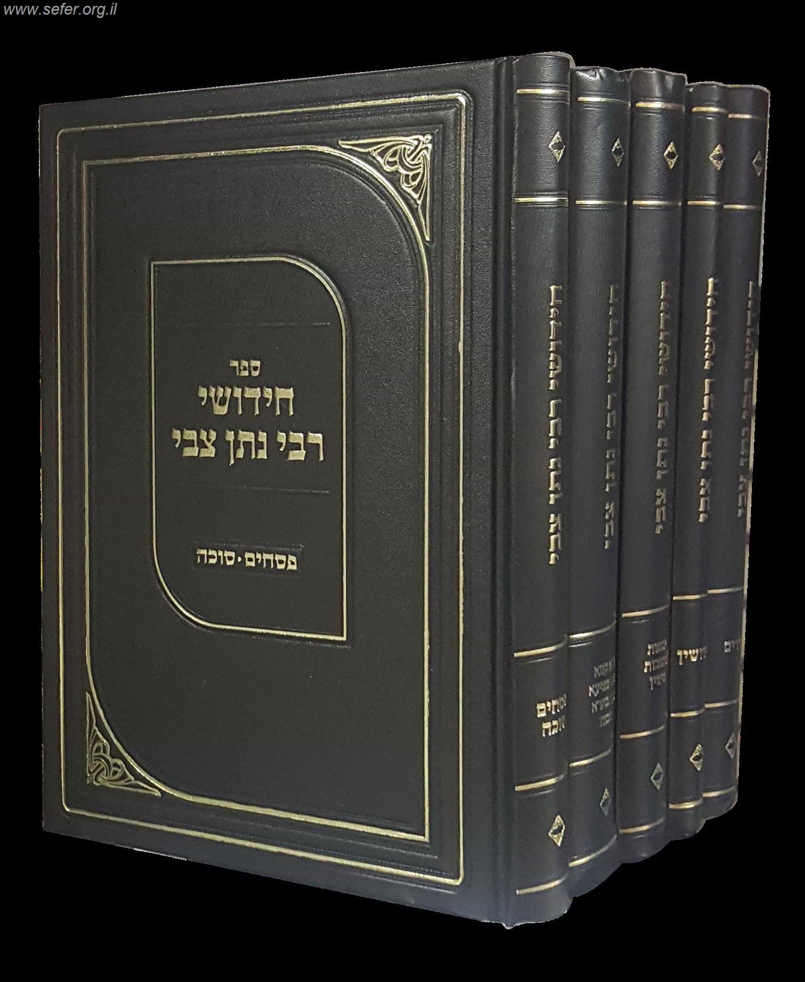 חידושי רבי נתן צבי על הש"ס ה