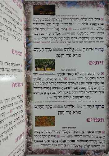 סדר טו' בשבט - כונת הלב פורמט גדול