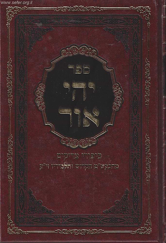 יהי אור - סיפורי צדיקים מהבעש