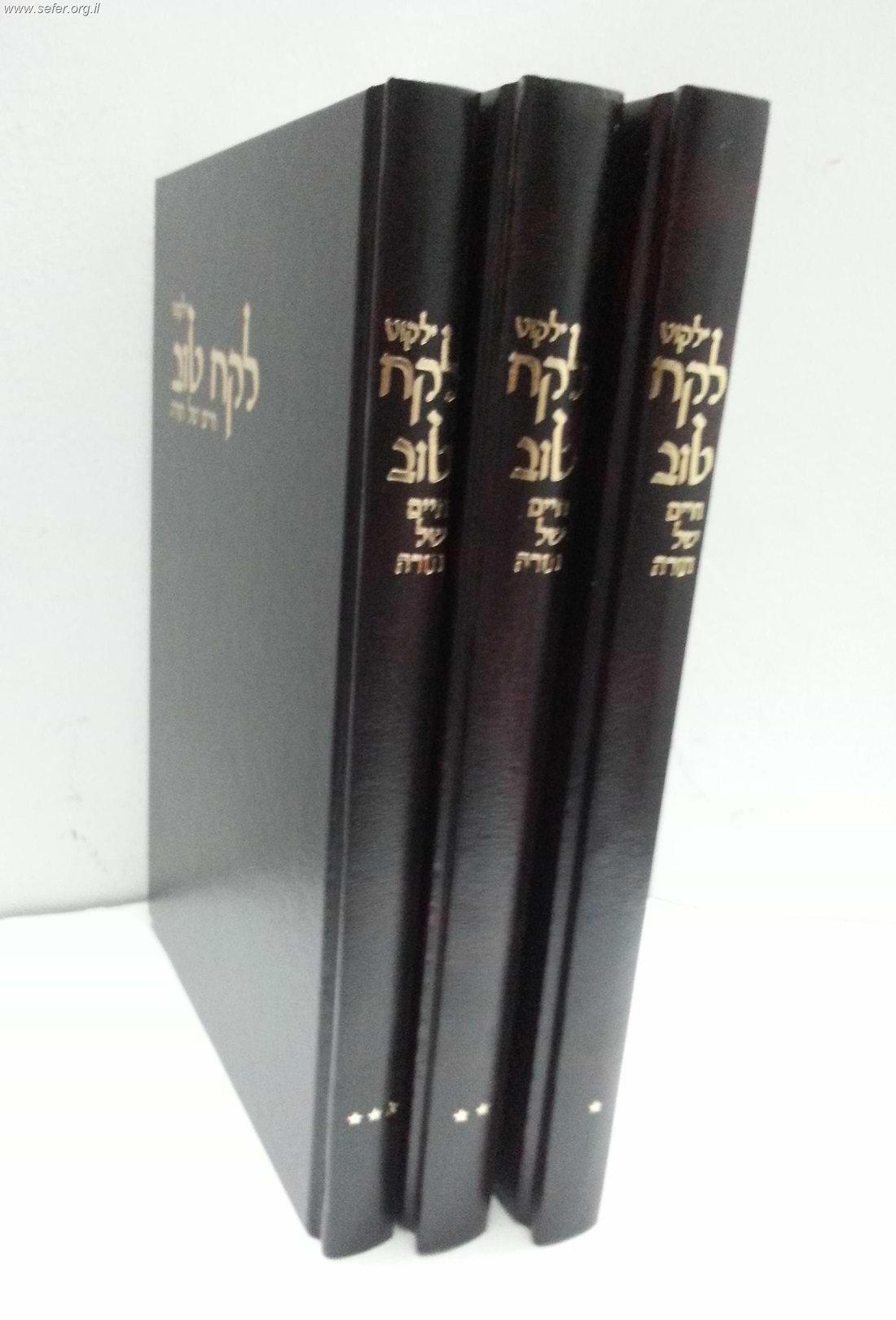 ילקוט לקח טוב - חיים של תורה ג
