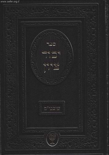 יסוד ציון - ימי השובבי