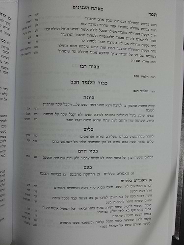 יעלזו חסידים מוסר ועצות מנוקד / ר' אליעזר פאפו