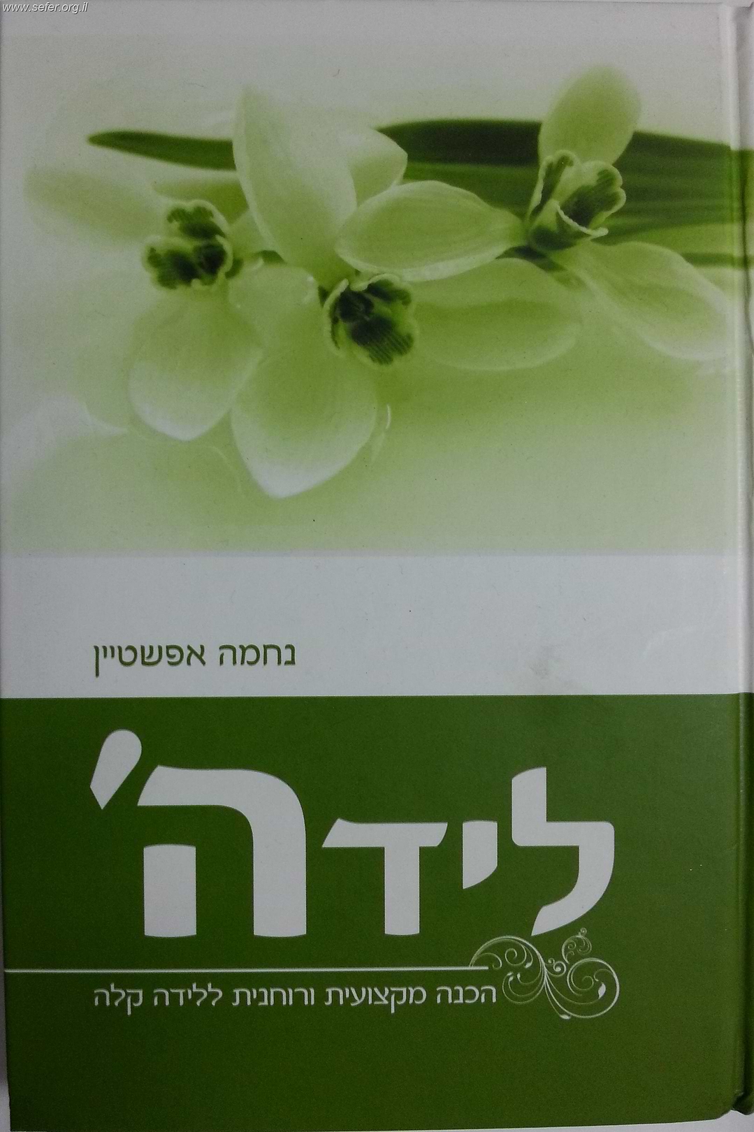 לידה - ליד ה