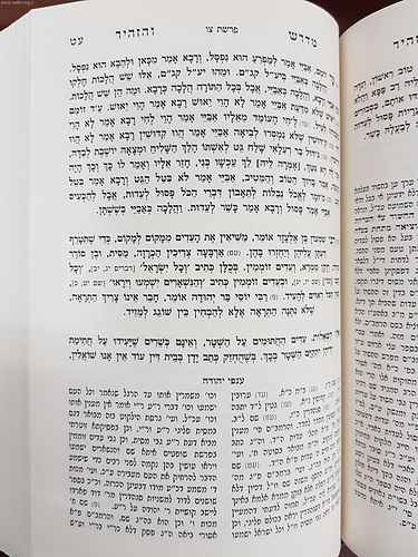 מדרש והזהיר עם פירוש ענפי יהודה / זכרון אהרון