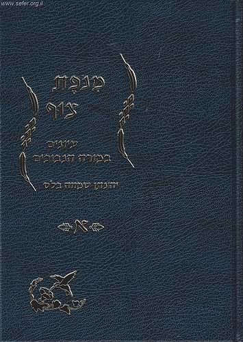 מנופת צוף - עיונים במורה נבוכים ב' כרכים / הרב יונתן בלס
