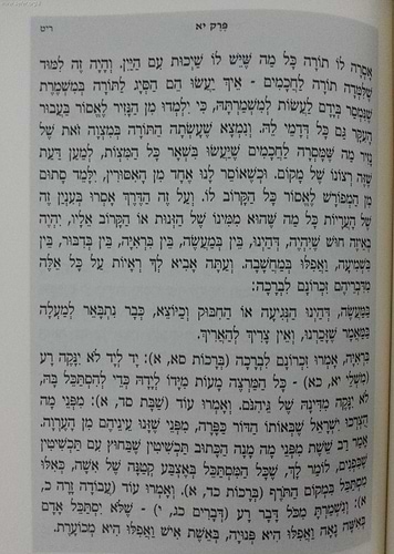 מסילת ישרים עם פירוש סוד לישרים / מכון רמח