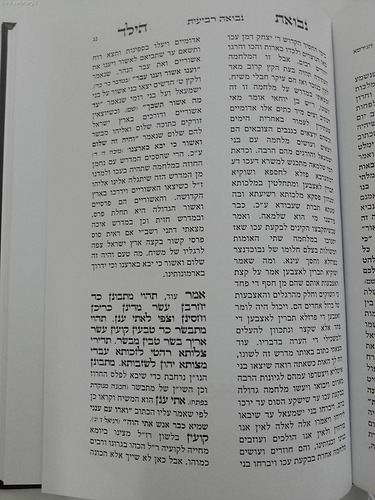 נבואת הילד / בתוספת פירושים