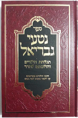 נטעי גבריאל - תגלחת הילדים (חלאקה) והולכתם לחדר / הרב גבריאל ציננער