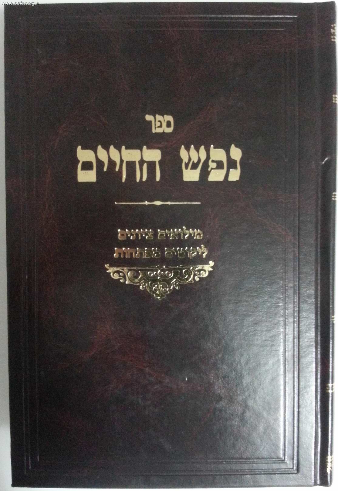 נפש החיים מנוקד / מהדורת רובין
