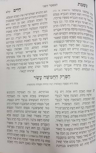 נשמת חיים / רבי מנשה בן ישראל