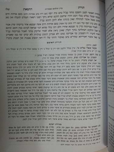 תורת החטאת החדש / מישור