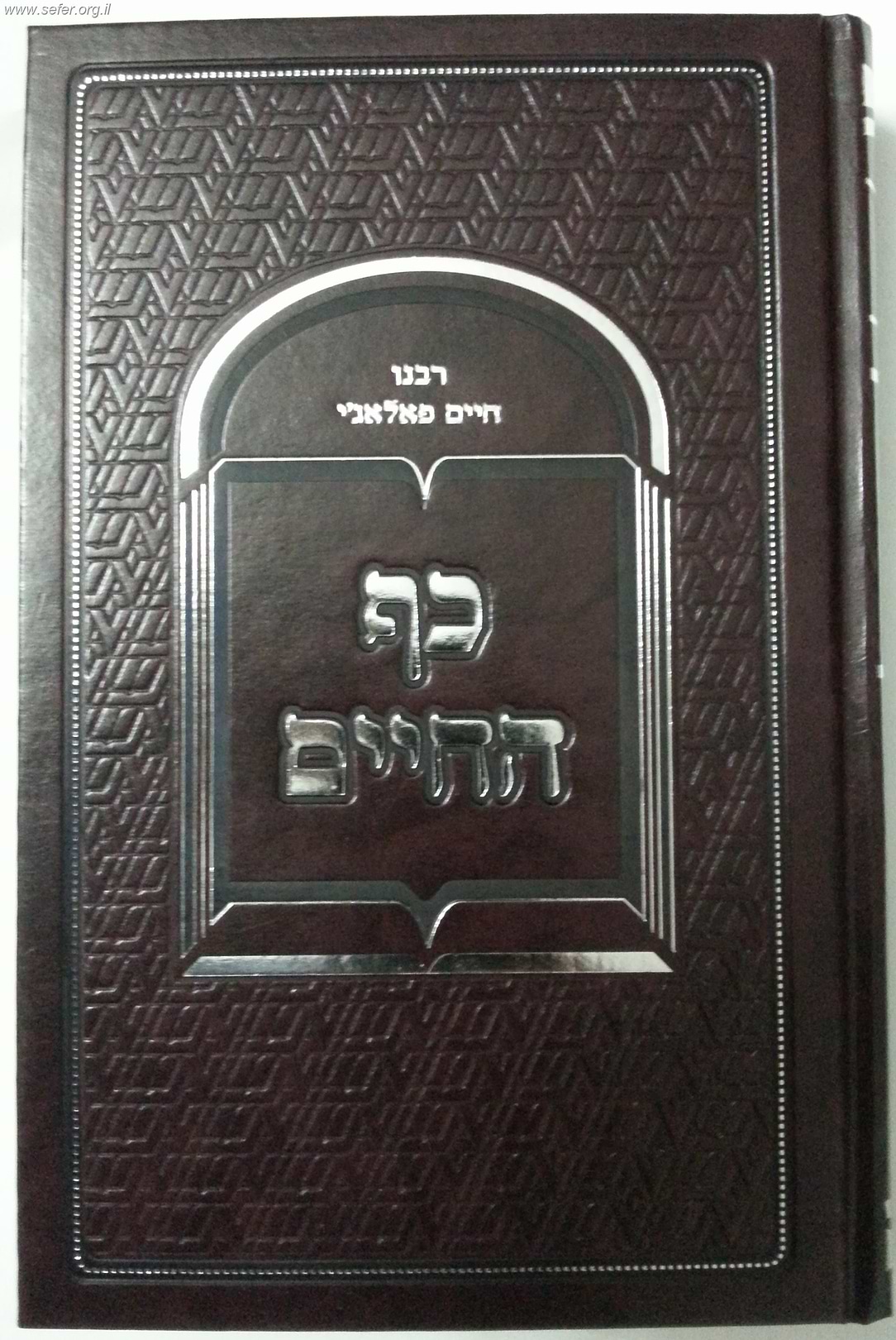 כף החיים פלאג