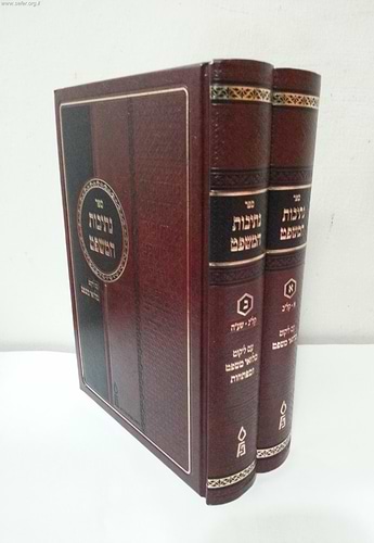 נתיבות המשפט  - דזימיטרובסקי ב' כרכים קטן  / פלדהיים