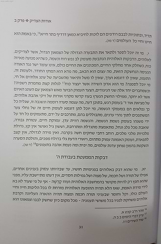 אורות הצדיק / הראי