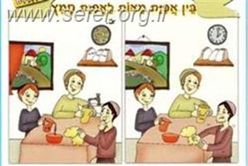 משחגי תורה / הרב אהרן פאלק