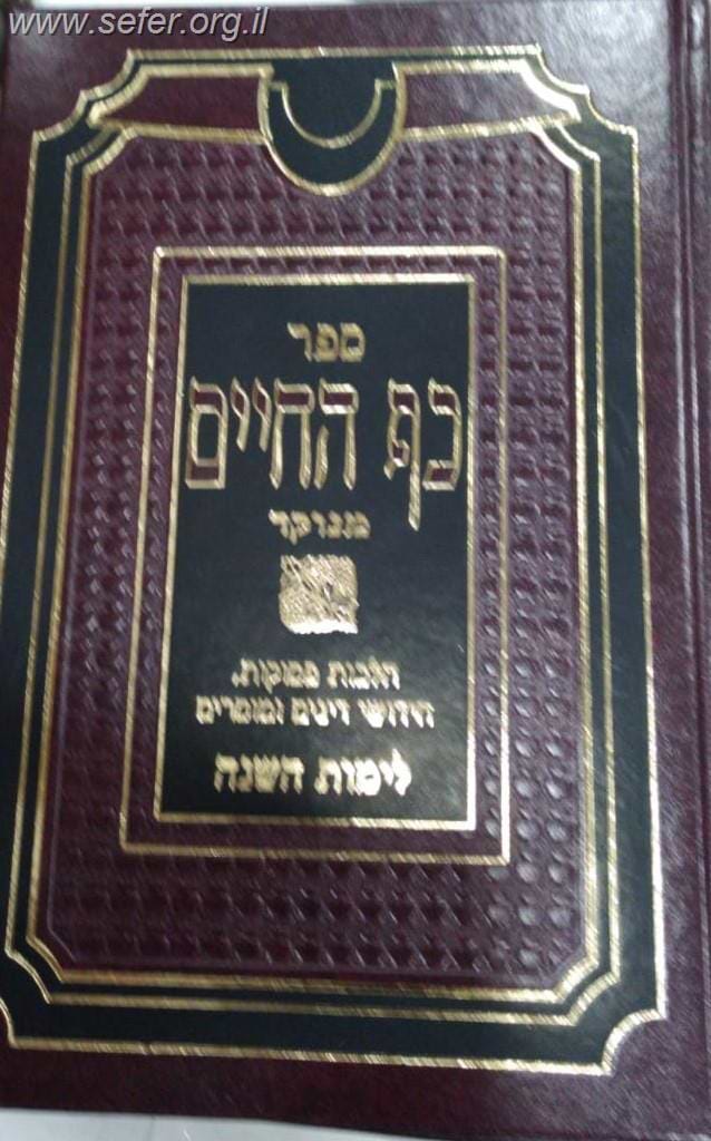 כף החיים פלאג