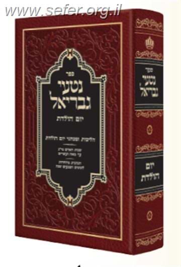 נטעי גבריאל - יום הולדת