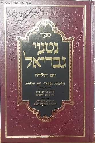 נטעי גבריאל - יום הולדת