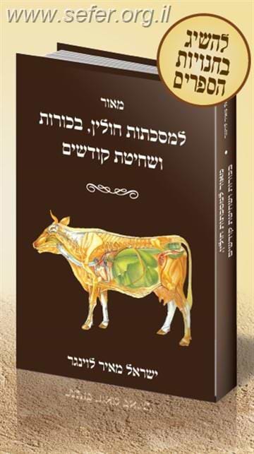 מאור למסכתות חולין, בכורות ושחיטת קדשים / ישראל מאיר לוינגר