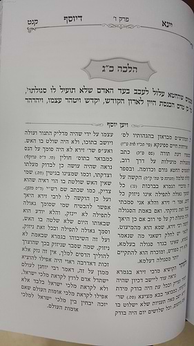 יינא דיוסף - הסגולה לזיכרון פרטי דיניה, טעמיה וסודותיה
