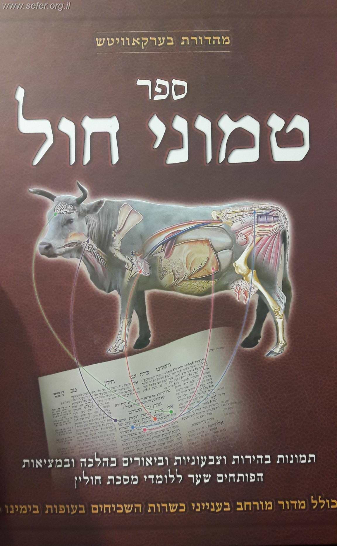 ספר טמוני חול - תמונות וביאורים בהלכה - מסכת חולין