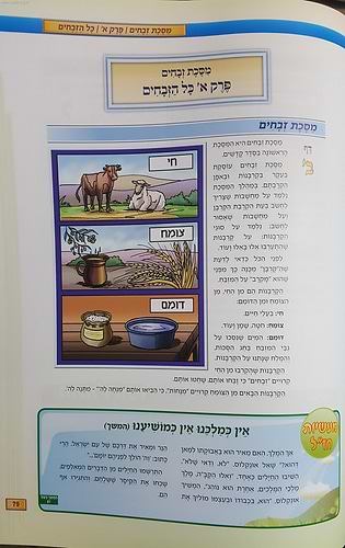 סט תלמוד ישראלי 7 כרכים במבצע מיוחד! / אבי רט