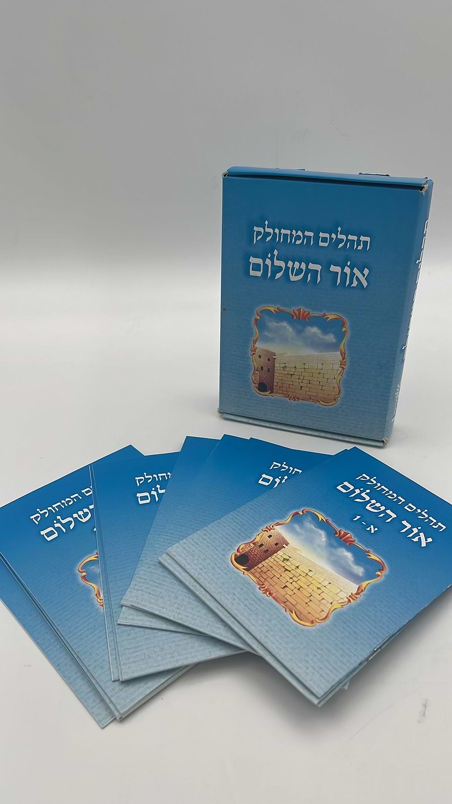 תהילים מחולק אור שרגא כח