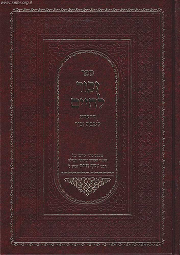 זכור לחיים / הבן איש חי 