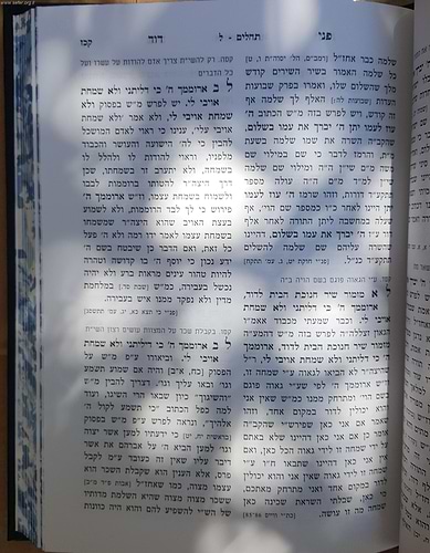 פנים יפות - פני דוד- לחם הפנים / הרב פנחס הלוי איש הורוביץ בעל 'ההפלאה'