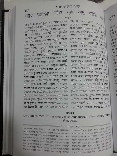ספורנו המבואר - שיר השירים, רות