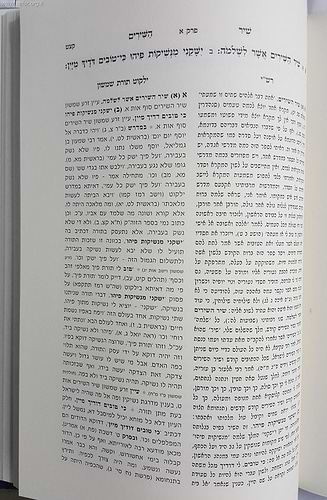 זרע שמשון - שיר השירים / ר' שמשון חיים נחמני זצוק