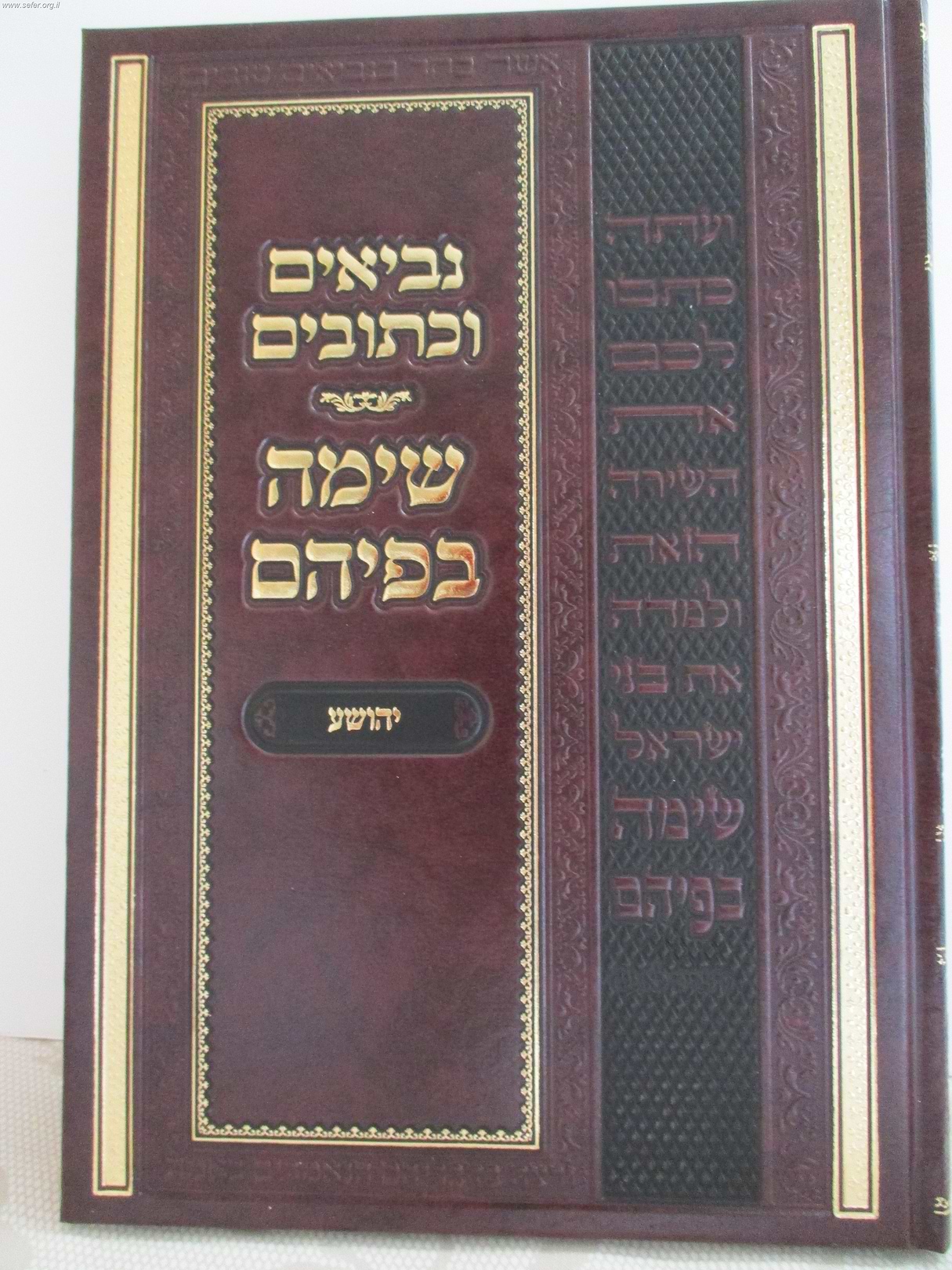 נביאים וכתובים - ספר יהושע / שימה בפיהם