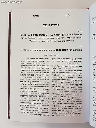 לשון תורה - על כפל הלשונות בתורה - עם ביאור הצבי והצדק / מכון בני שלשים