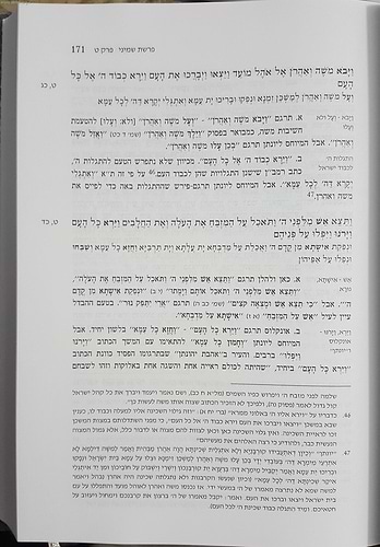 פרשגן חומש ויקרא - ביאורים ומקורות לתרגום אונקלוס / הרב פוזן