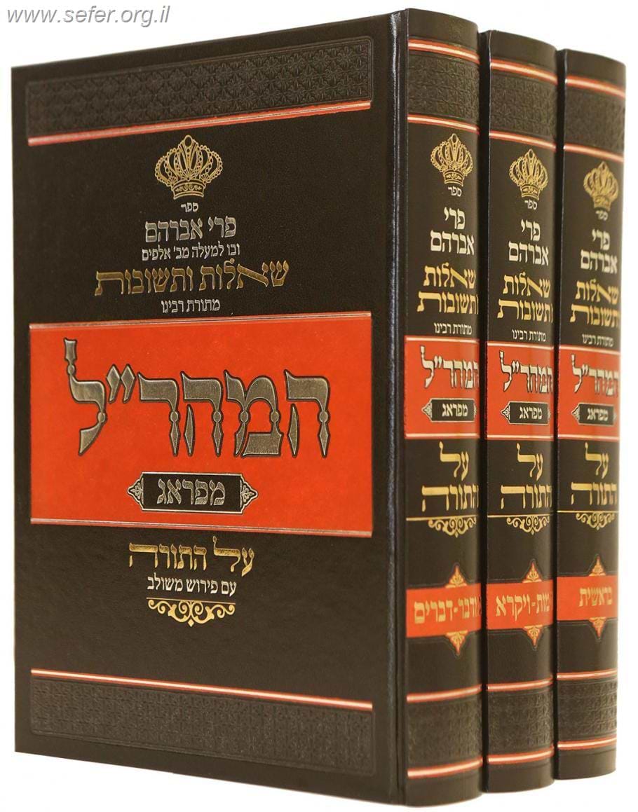 פרי אברהם - שאלות ותשובות מתורתו של המהר"ל ג