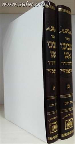 שביבי אש על התורה ב' כרכים - הרב שמואל אליעזר שטרן / עוז והדר