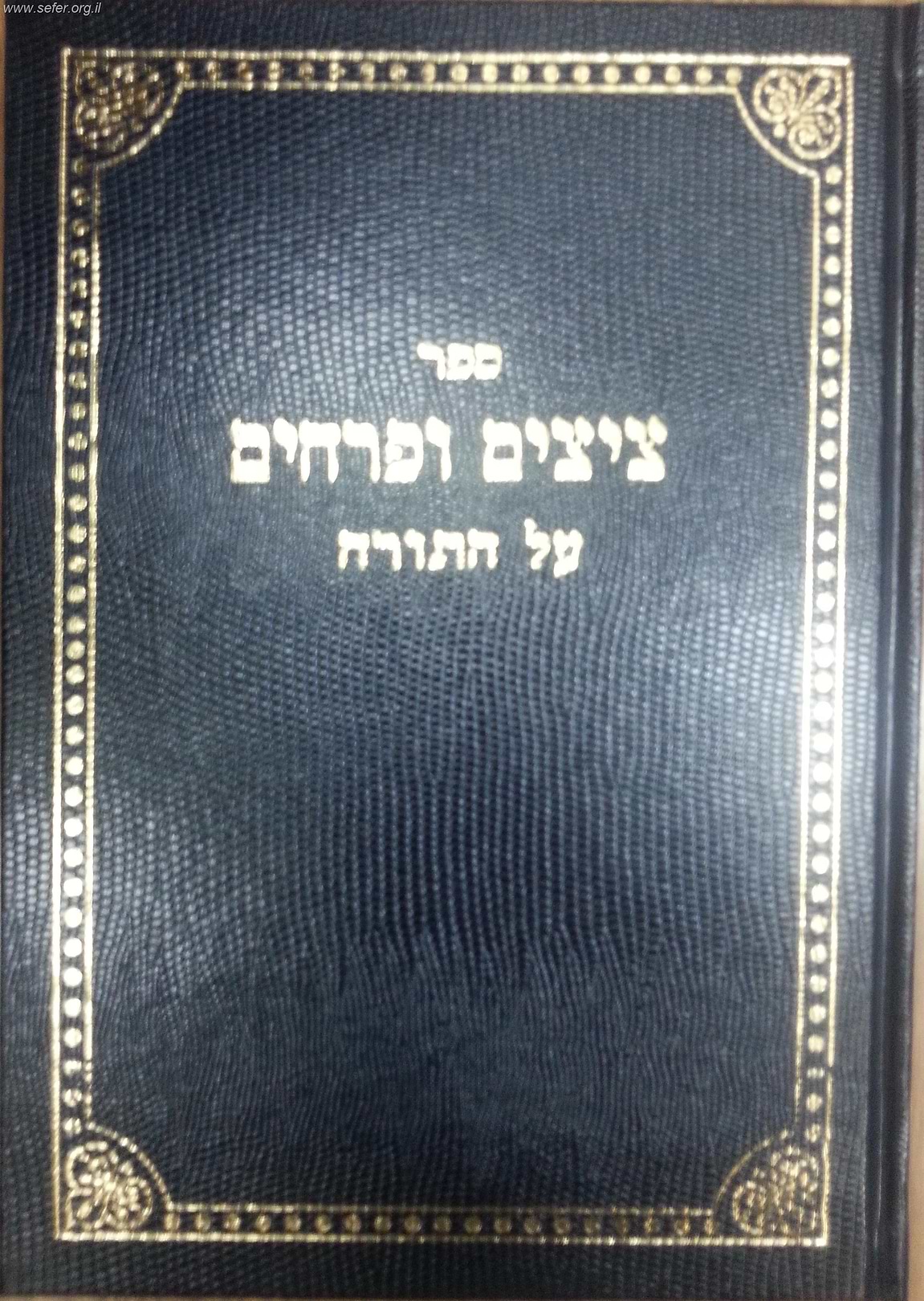 ציצים ופרחים על התורה / ר
