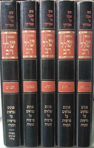 כמוצא שלל רב - על התורה ה' כרכים